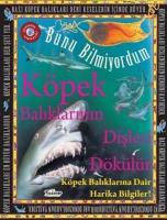 Köpek Balıklarının Dişleri Dökülür - Bunu Bilmiyordum Köpek Balıklarına Dair Harika Bilgiler!
