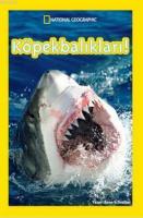 Köpekbalıkları