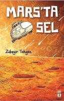 Mars'ta Sel