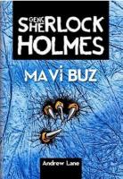 Mavi Buz