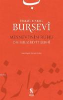 Mesnevi'nin Ruhu