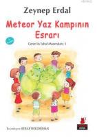 Meteor Yaz Kampının Esrarı