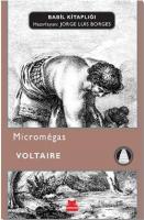 Micromegas