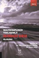 Multidisipliner Yaklaşımla İktisadi Kriz Olgusu Cilt 2