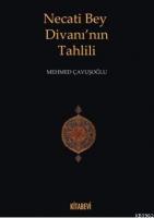 Necati Bey Divanı'nın Tahlilleri