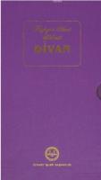 Niyazi-i Mısri Halveti Divanı