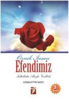 Örnek İnsan Efendimiz