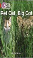 Pet Cat, Big Cat (Big Cat Phonics-2A Red)