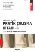 Pratik Çalışma Kitabı I