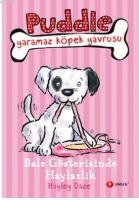 Puddle 3 - Bale Gösterisinde Haylazlık
