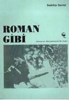 Roman Gibi Demokrasi Mücadelesinde Bir Kadın