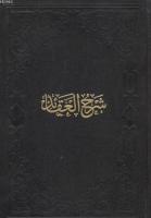 Şerhu'l Akâid (Tahkikli)