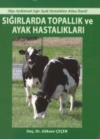 Sığırlarda Topallık ve Ayak Hastalıkları