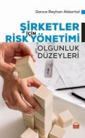 Şirketler İçin Risk Yönetimi