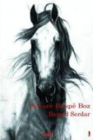 Siwarê Hespê Boz