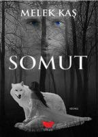 Somut