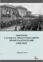 TBMM'deki Çanakkale Milletvekillerinin Siyasi Faaliyetleri (1920-1927)