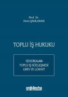 Toplu İş Hukuku