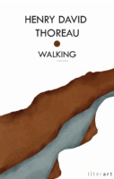 Walking