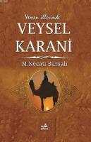 Yemen İllerinde Veysel Karani