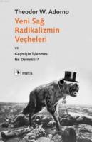 Yeni Sağ Radikalizmin Veçheleri