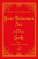Yirmi Dokuzuncu Söz ve Şerhi