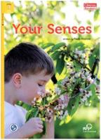 Your Senses + Downloadable Audio