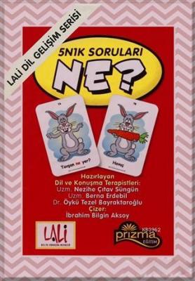 5N1K Soruları - Ne? Berna Erdebil