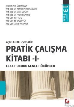 Açıklamalı Şematik Pratik Çalışma Kitabı 1