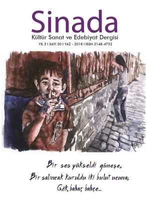 Sinada Dergisi 20. Sayı Yaz