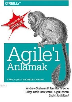 Agile'i Anlamak