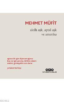 Akıllı Aşk, Aptal Aşk ve Amerika