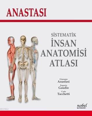 Anastasi - Sistematik İnsan Anatomi Atlası Carlo Tacchetti Giuseppe An