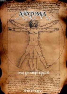 Anatomia