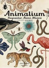 Animalium - Hayvanlar Alemi Müzesi (Ciltli) Katie Scott