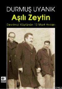 Aşılı Zeytin