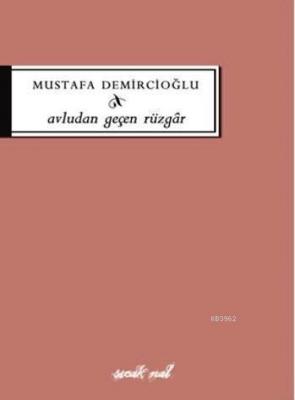 Avludan Geçen Rüzgar Mustafa Demircioğlu