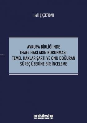 Avrupa Birliği'nde Temel Hakların Korunması:Temel Haklar Şartı ve Onu Doğuran Süreç Üzerine