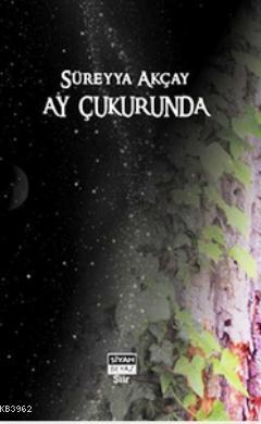 Ay Çukurunda