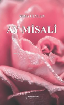 Ay Misali