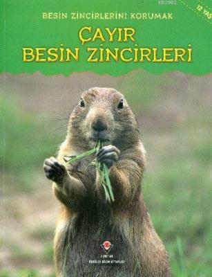 Besin Zincirlerini Korumak - Çayır Besin Zincirleri