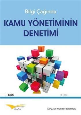 Bilgi Çağında Kamu Yönetiminin Denetimi