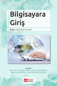 Bilgisayara Giriş