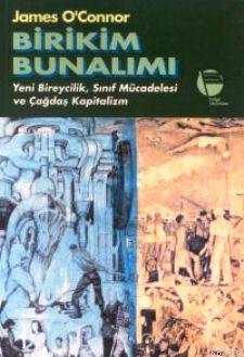 Birikim Bunalımı