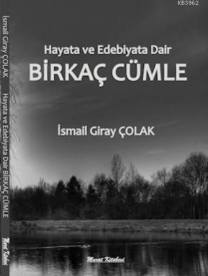 Birkaç Cümle