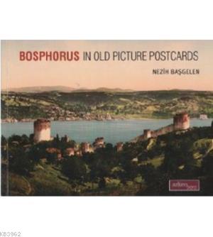 Bosphorus In Old Picture Postcards Nezih Başgelen