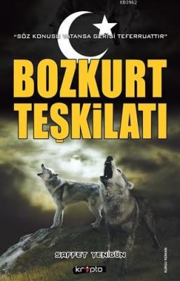 Bozkurt Teşkilatı