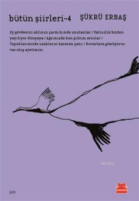 Bütün Şiirleri-4