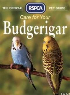 Care For Your Budgerigar Kolektif