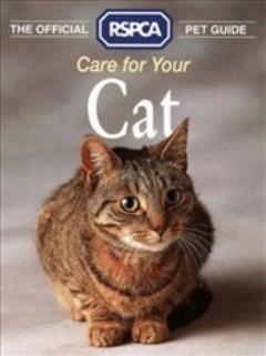 Care for Your Cat Kolektif